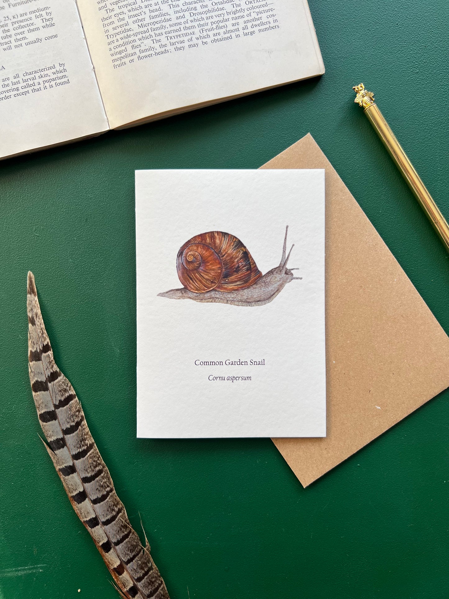 Garden Snail Card