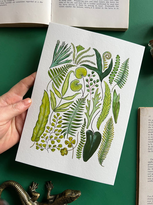 Fern Print