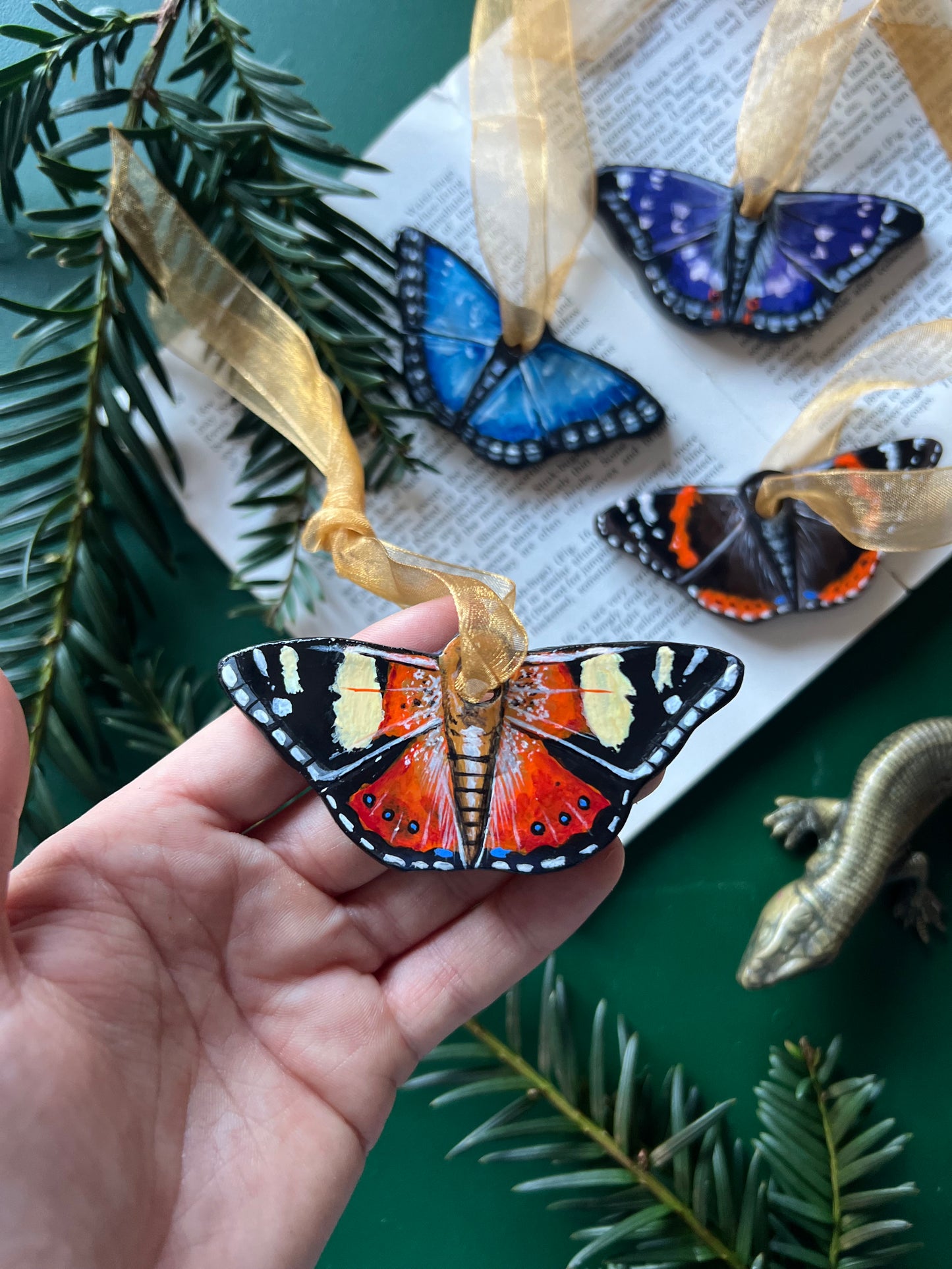 Australian Admiral / Yellow Admiral