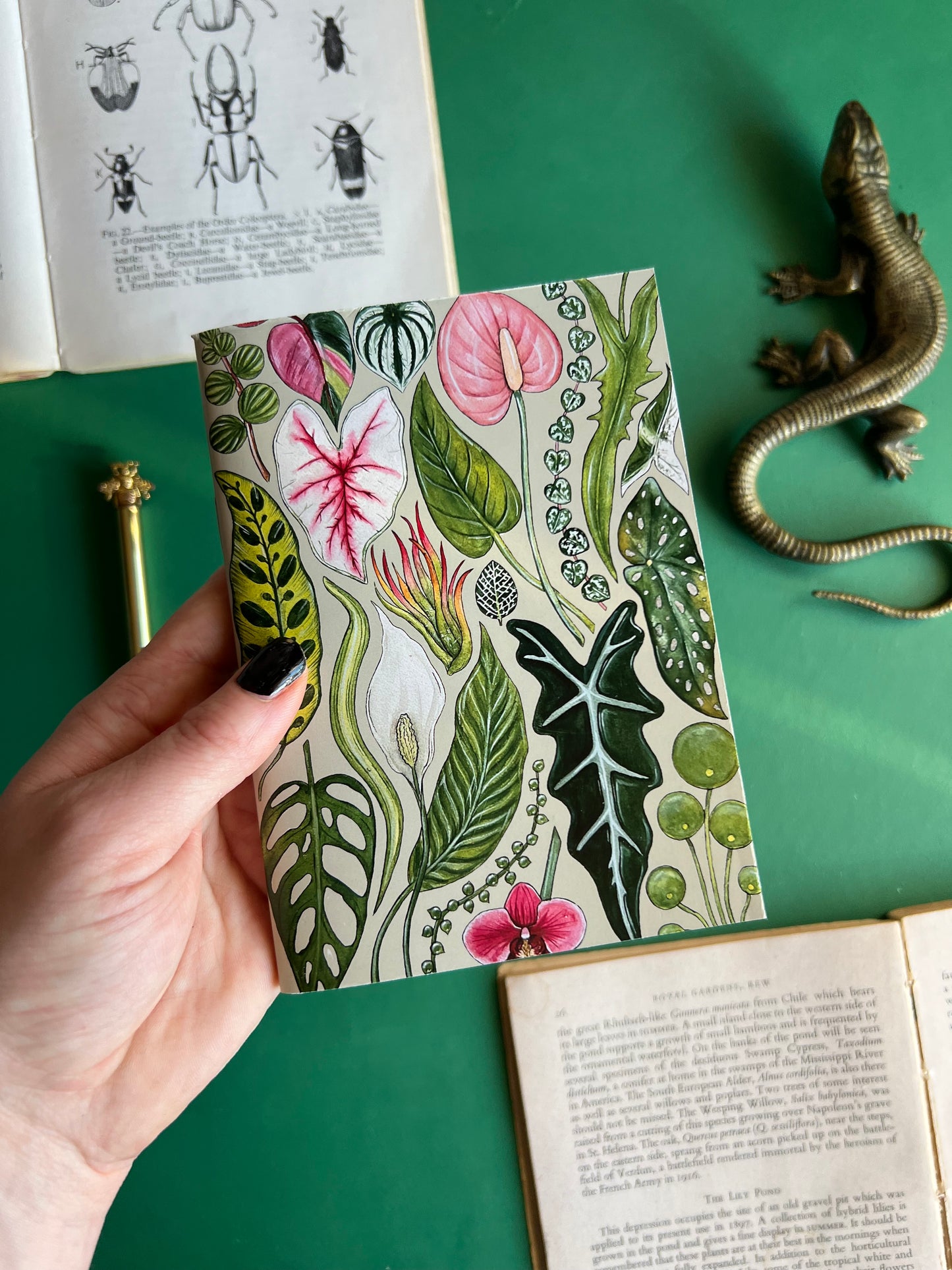 House Plant Pocket Notebook