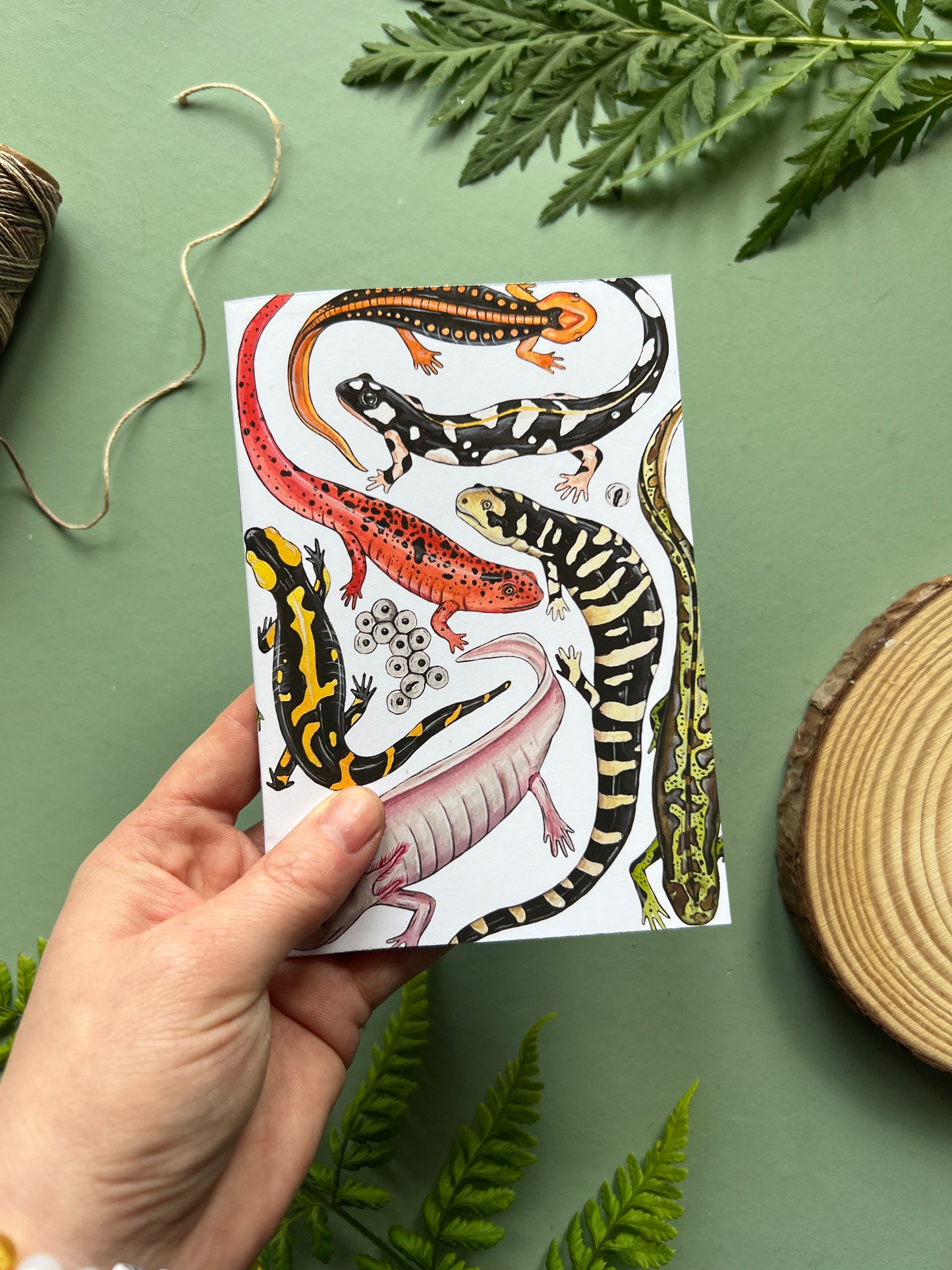 Wildlife Pocket Notebook Set