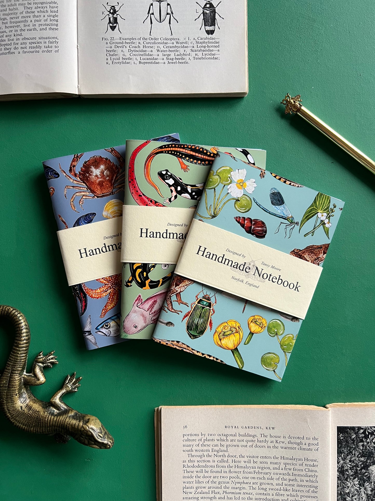 Wildlife Pocket Notebook Set