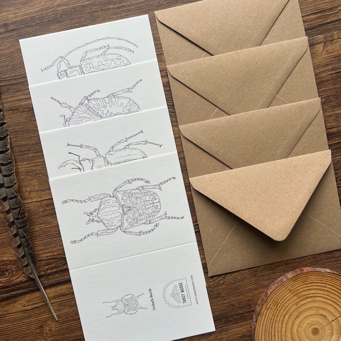 Beetle Colouring in Card Set