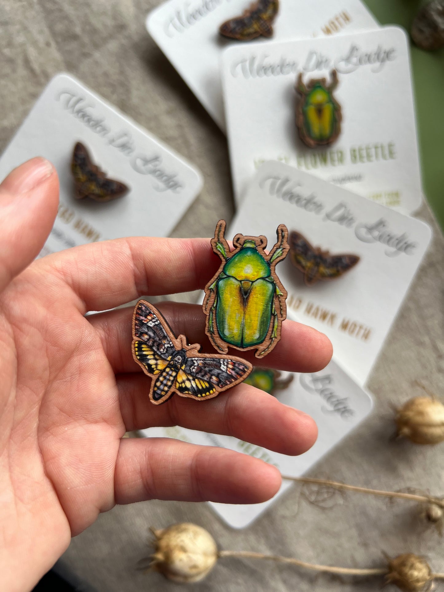 Death’s Head Hawk Moth Wooden Pin Badge