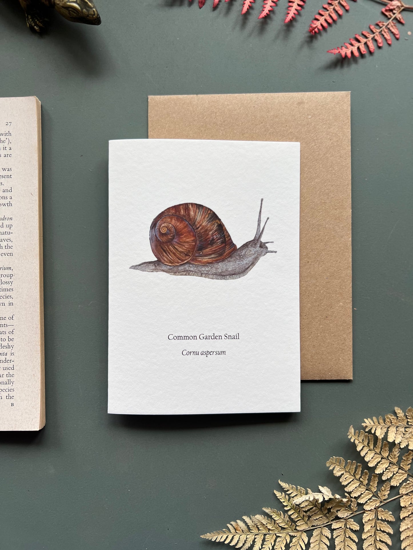 Garden Snail Card