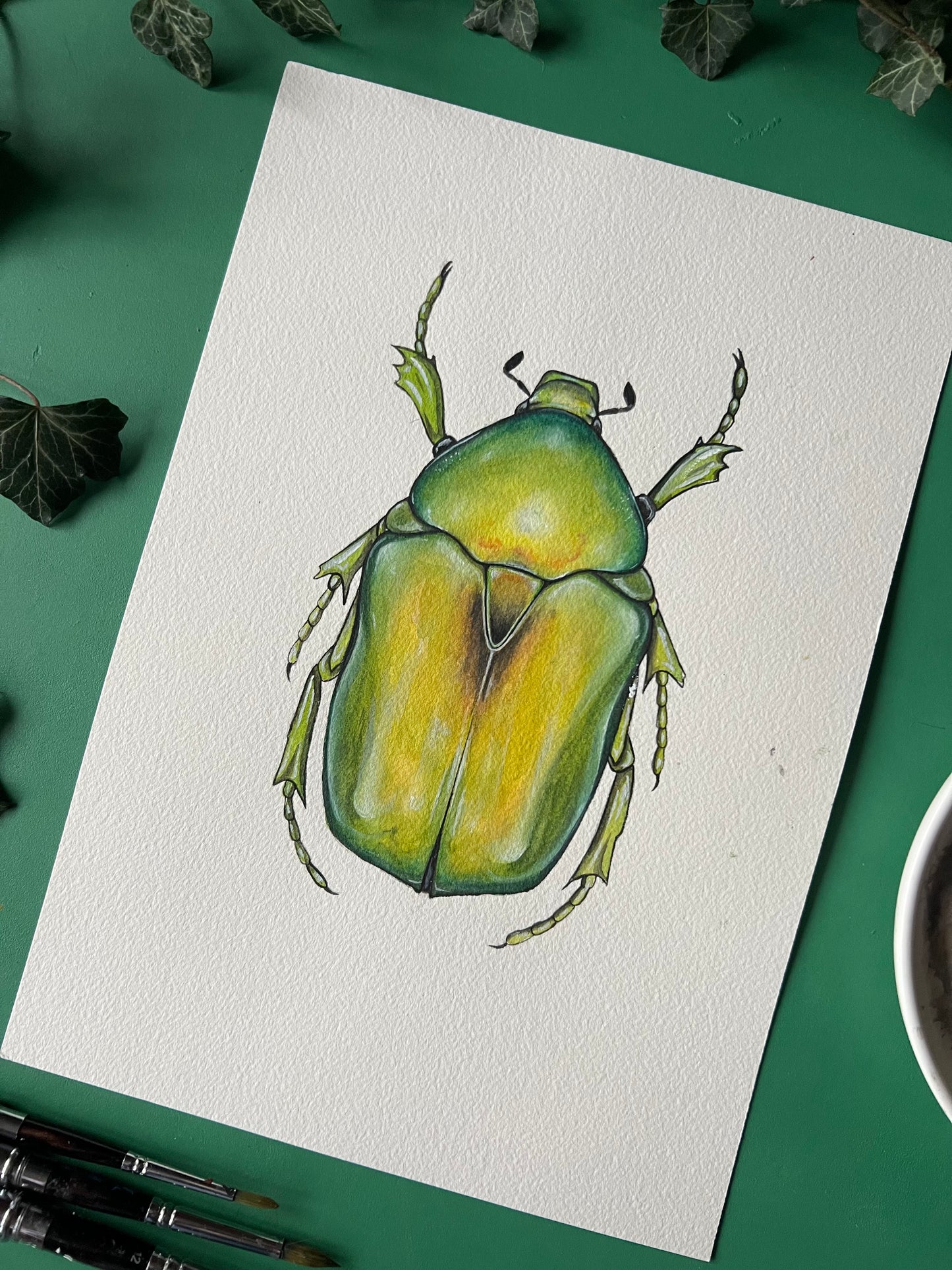 Jewel Flower Chafer