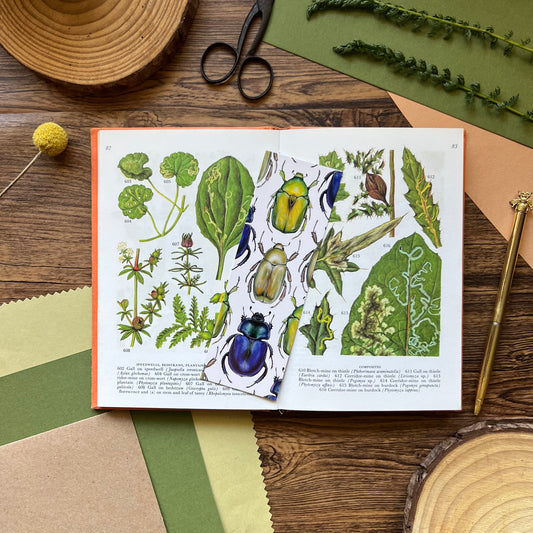 Beetle Bookmark