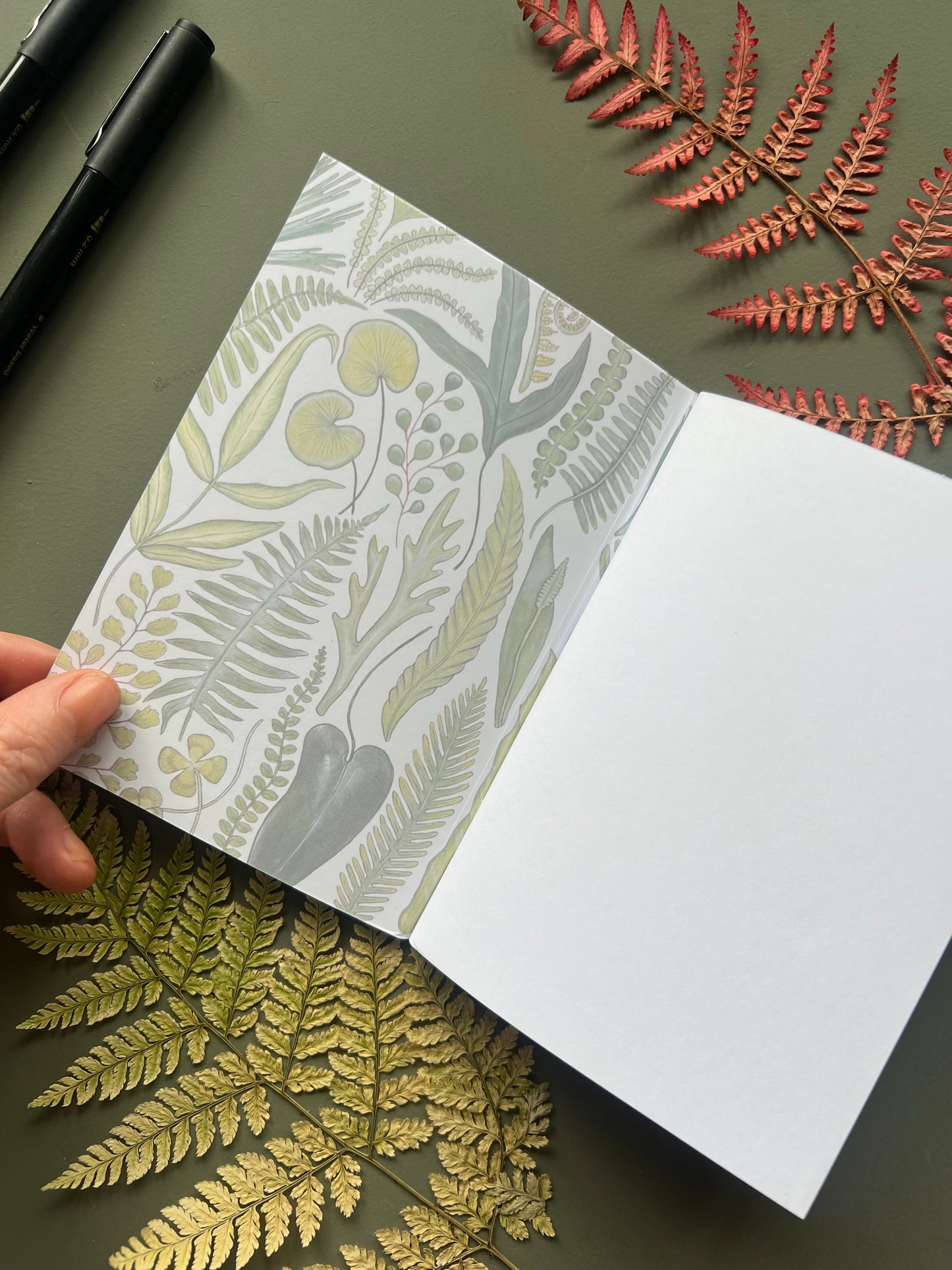 Ferns Pocket Notebook