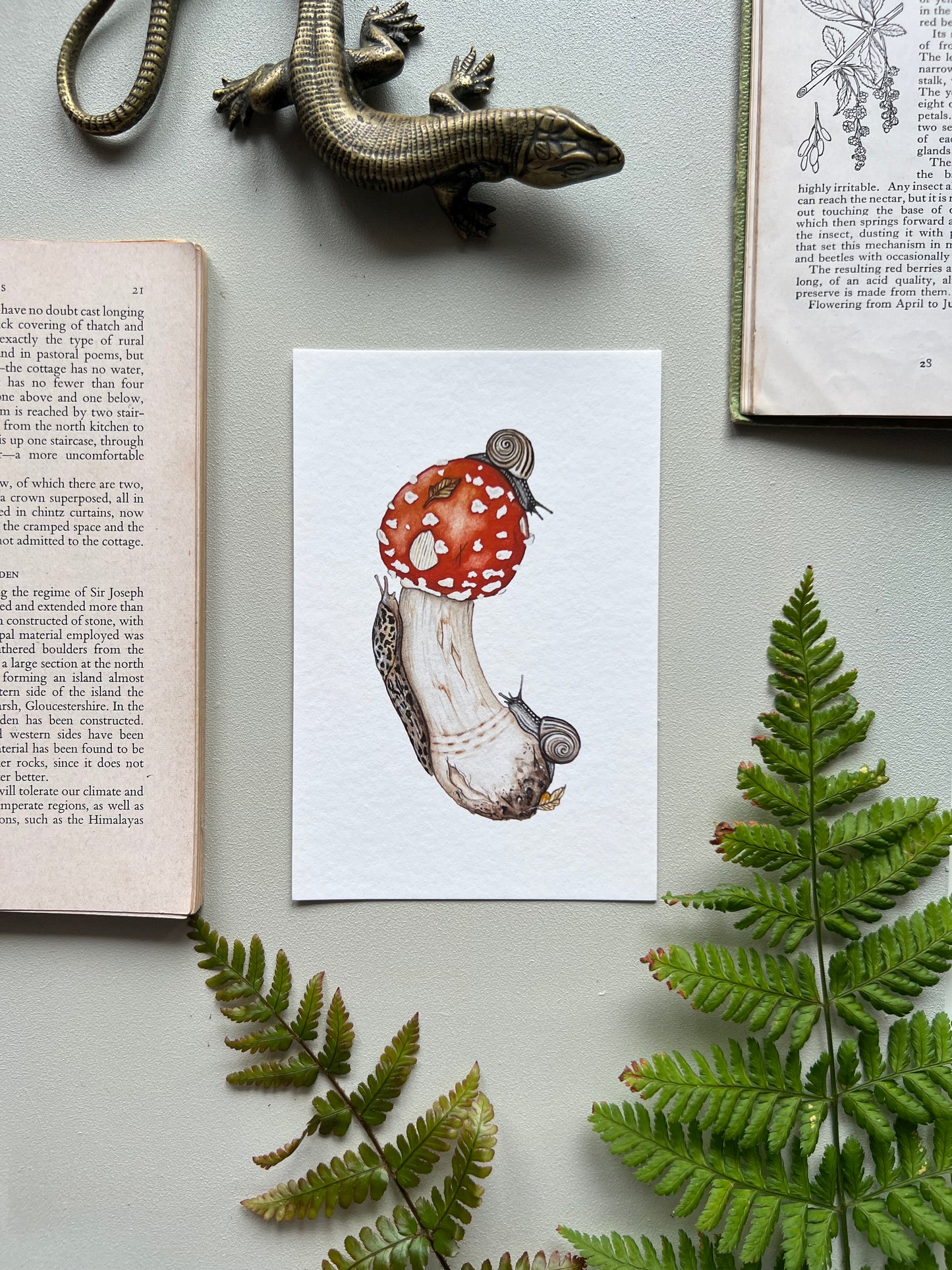 Amanita muscaria, Leopard Slug and White-lipped Grove Snails Print