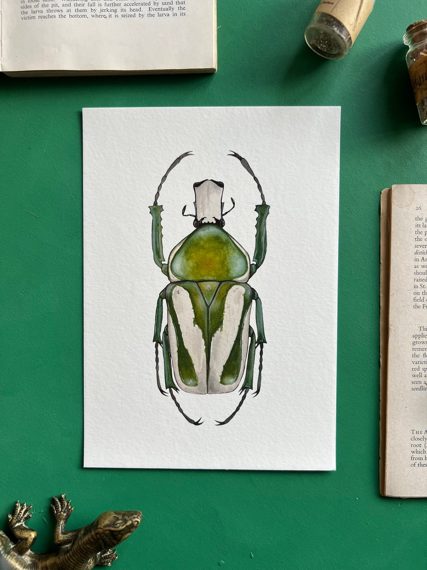 Regal Fruit Chafer Print