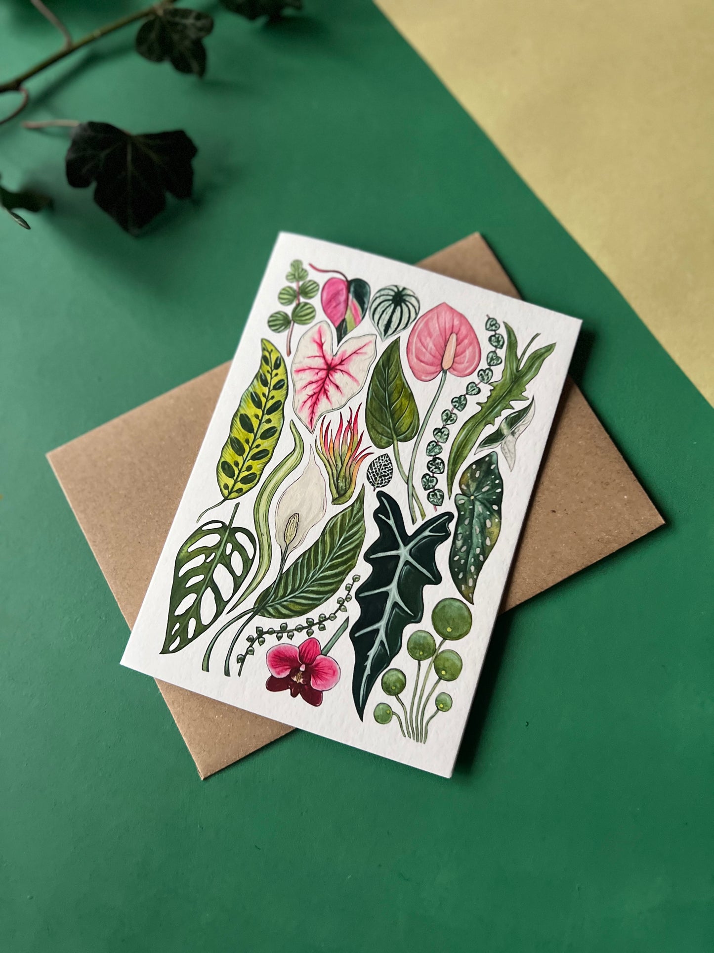 House Plants Card