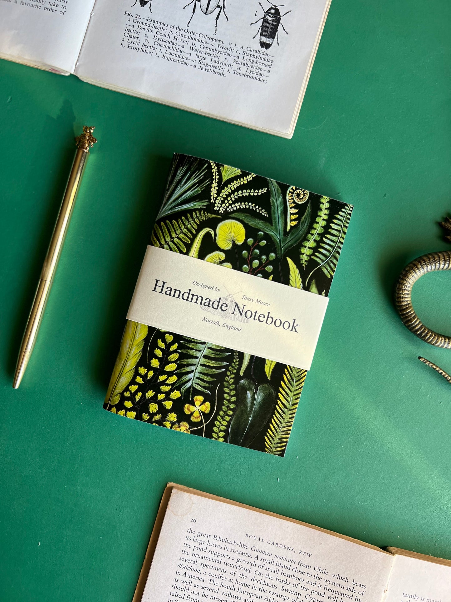 Ferns Pocket Notebook