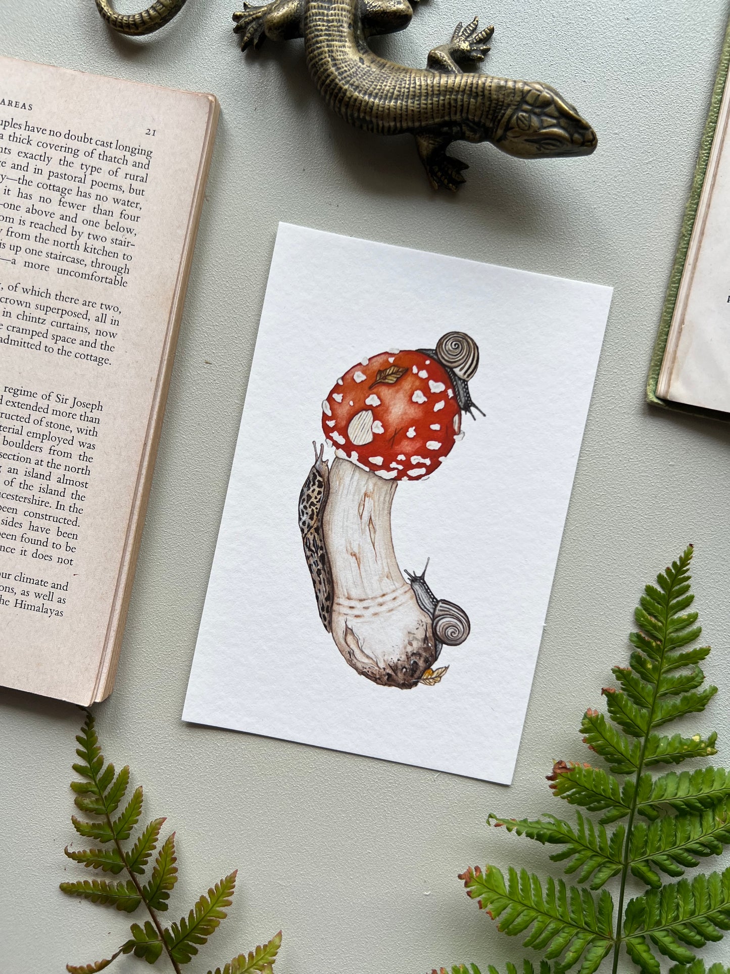 Amanita muscaria, Leopard Slug and White-lipped Grove Snails Print