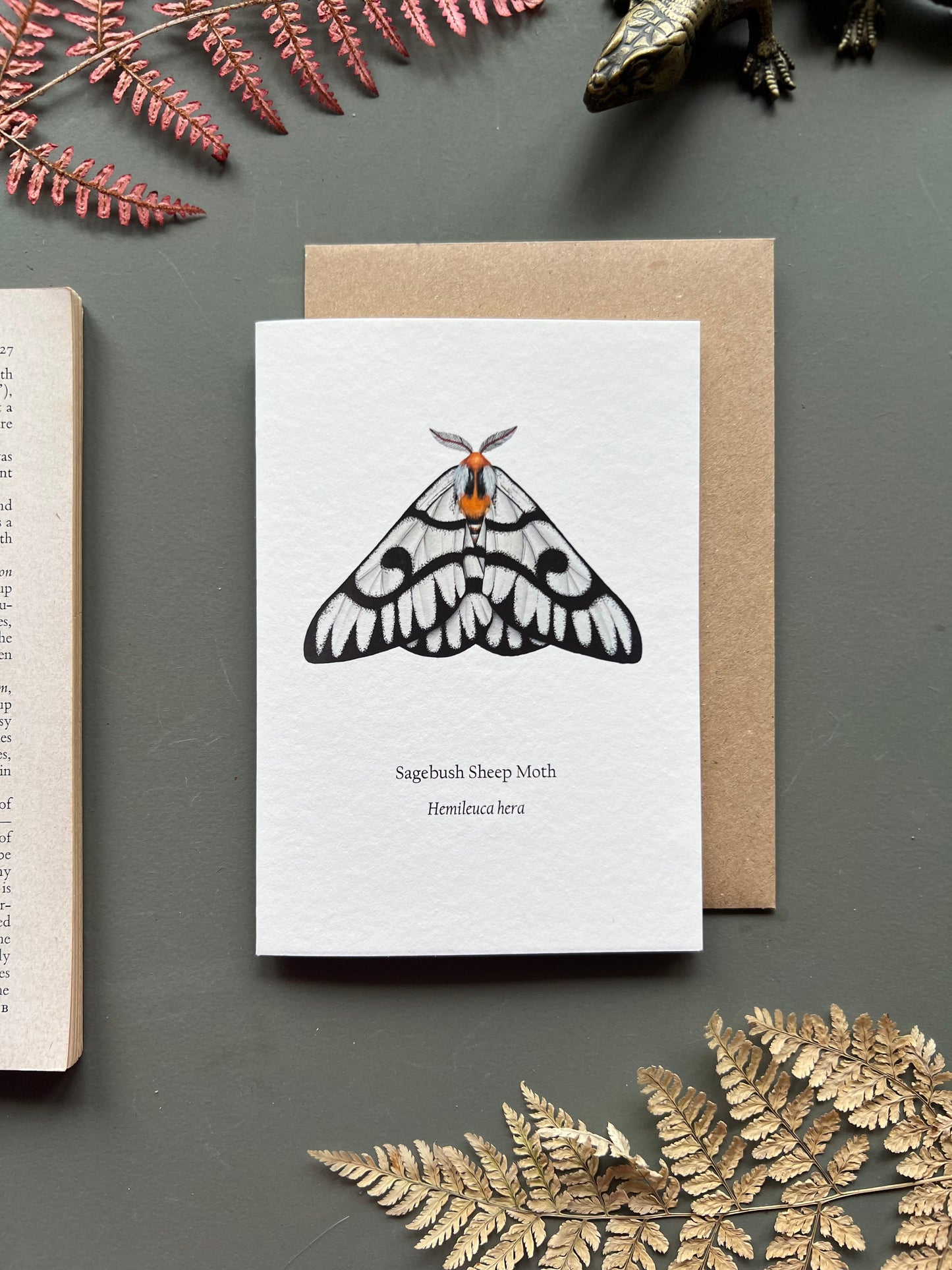 Sagebush Sheep Moth Card