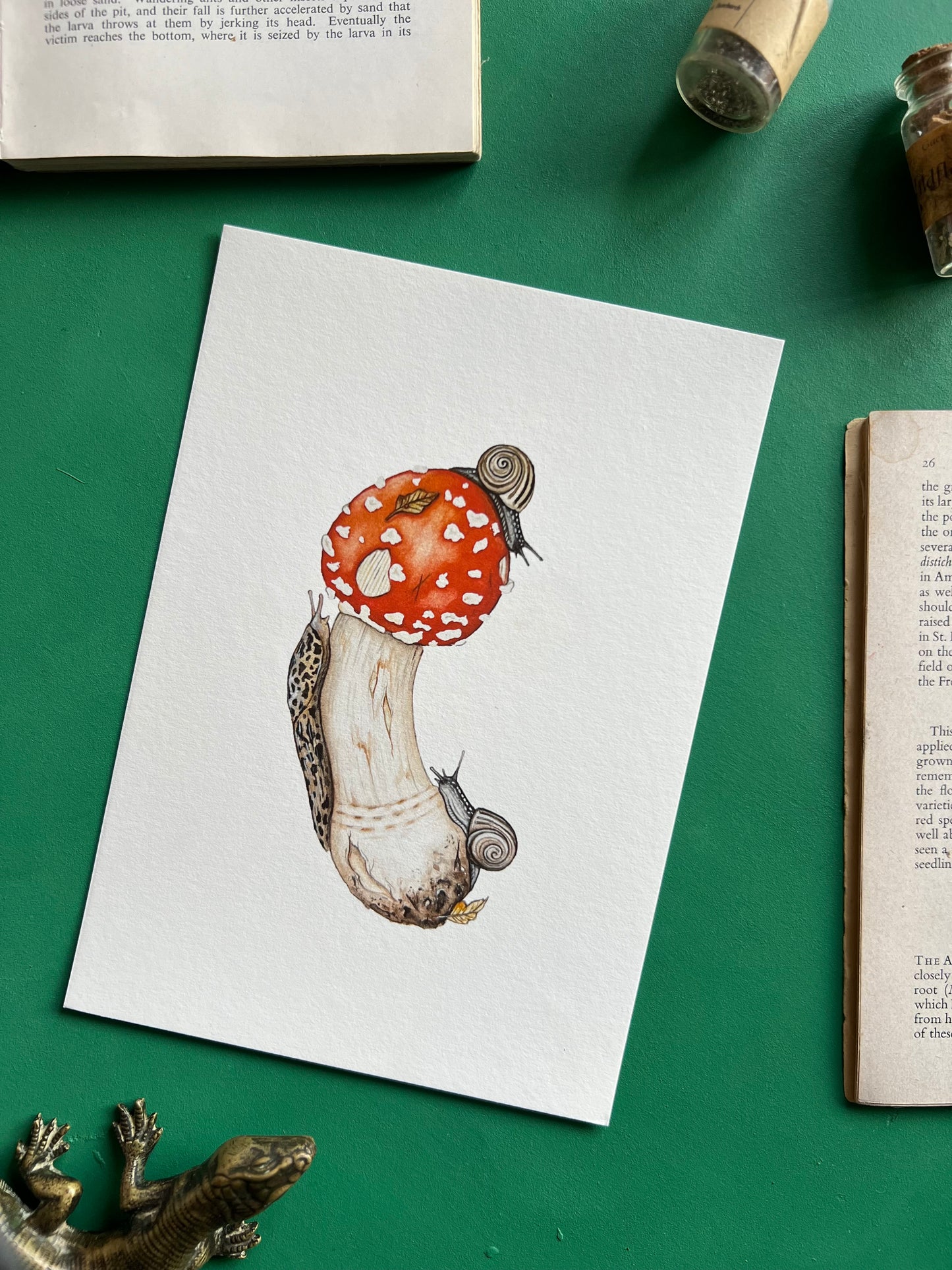 Amanita muscaria, Leopard Slug and White-lipped Grove Snails Print
