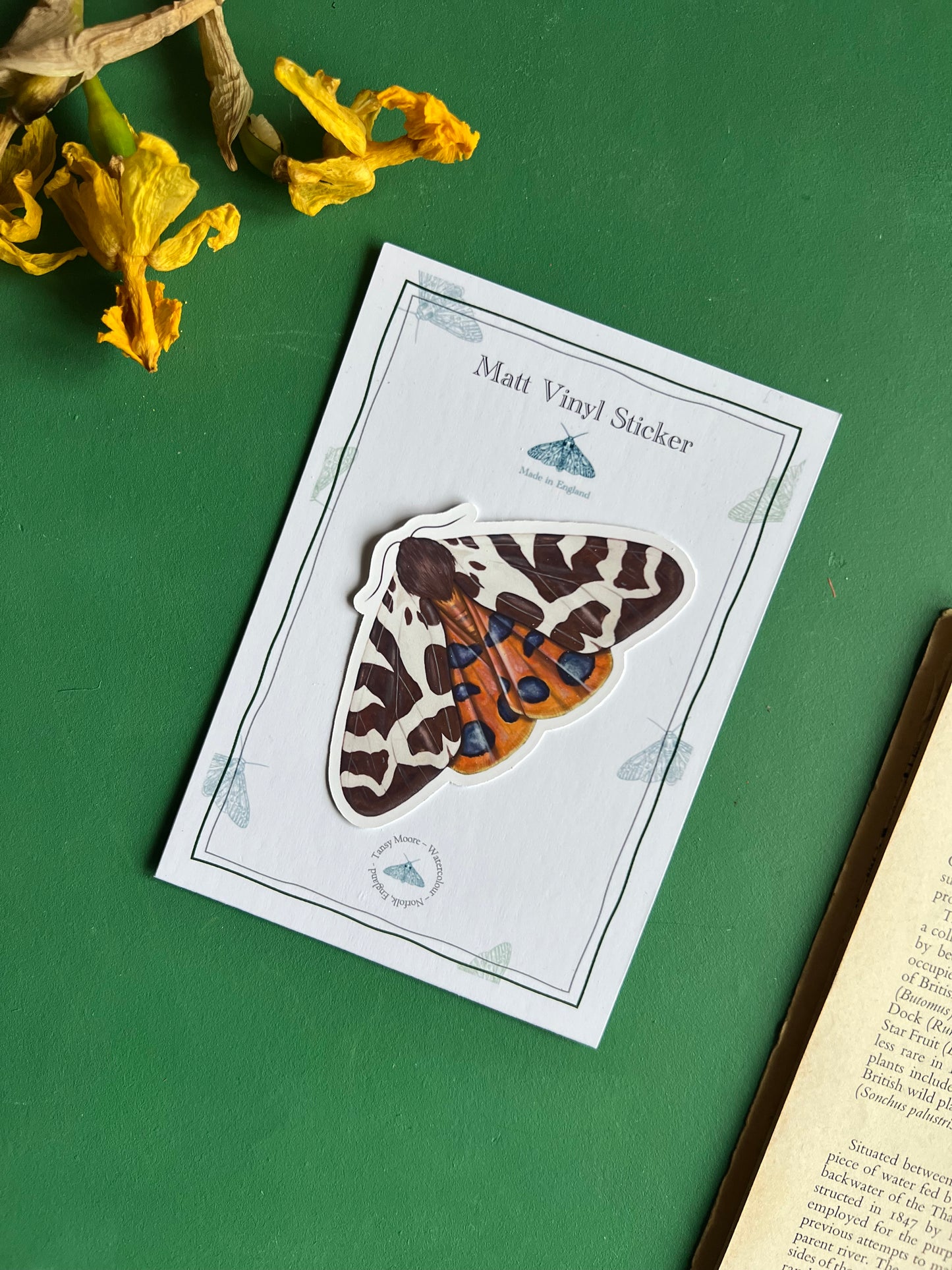 Garden Tiger Moth Sticker