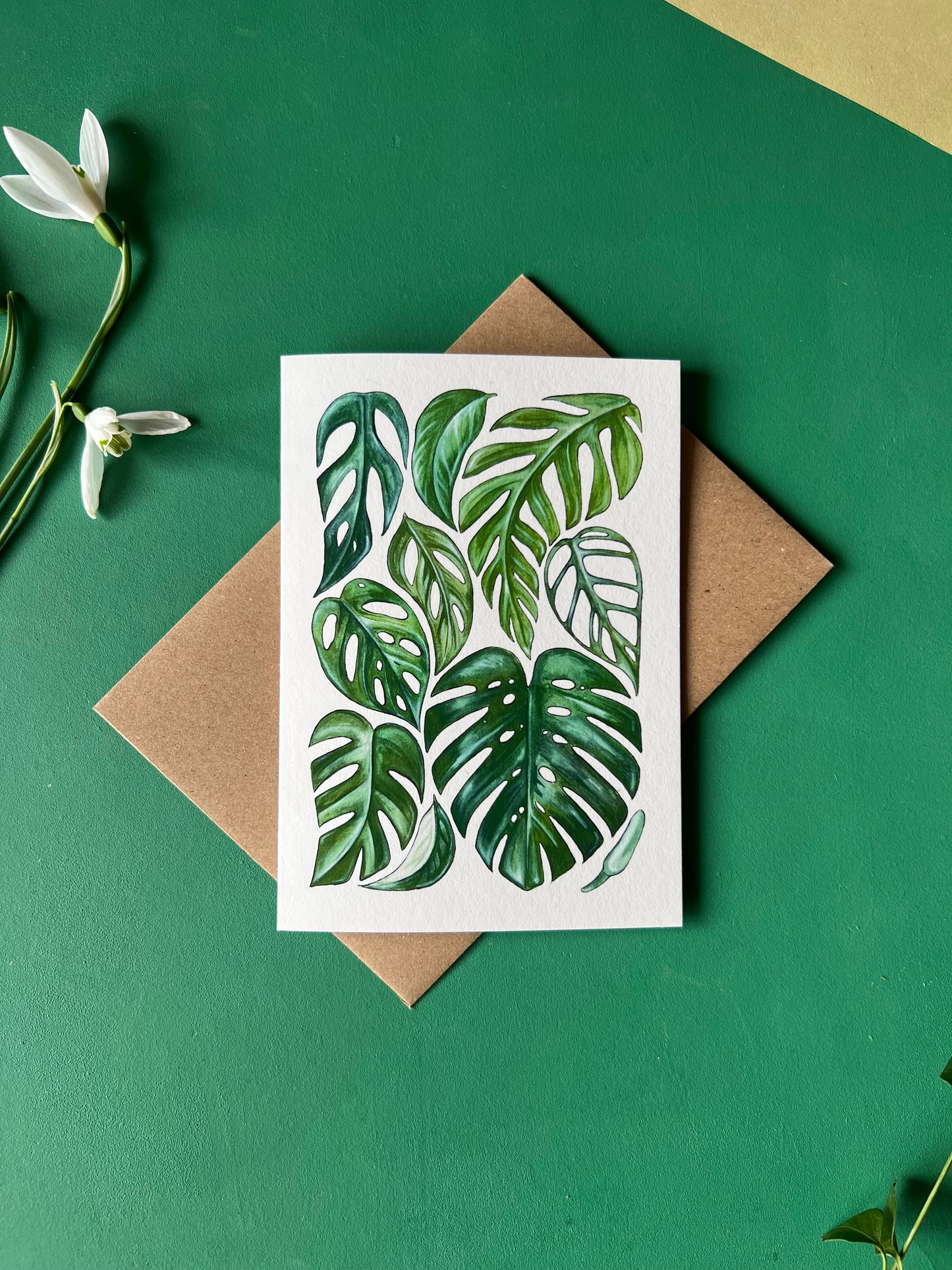 Monstera Card