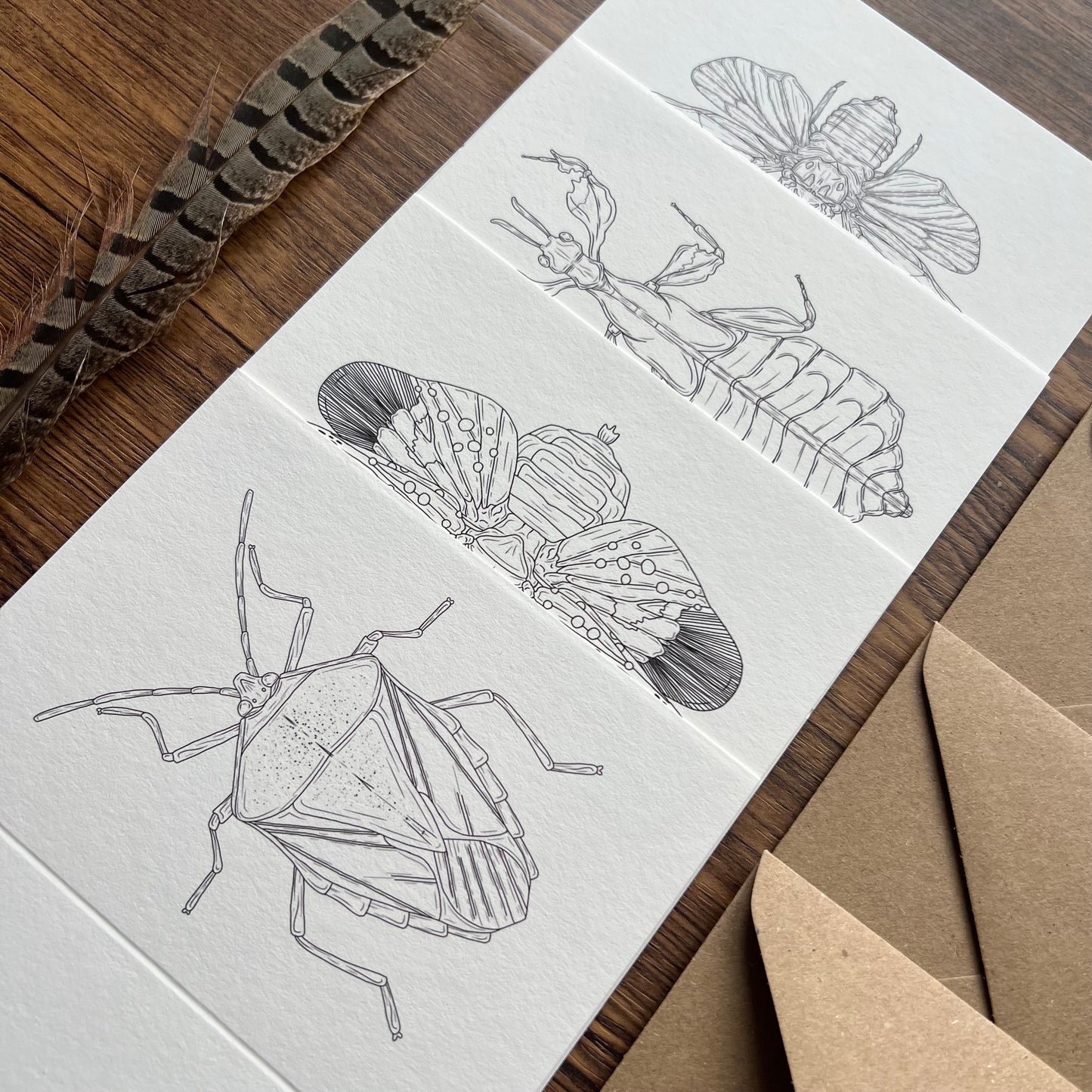 Insects Colouring in Card Set