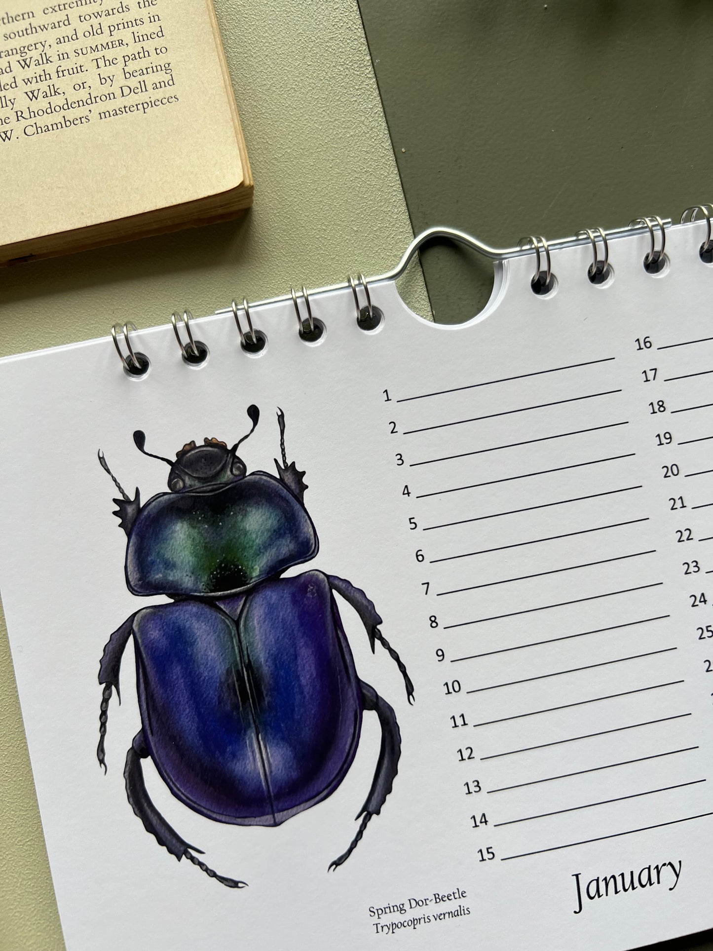 Beetle Birthday and Other Important Dates Calendar, Perpetual Calendar