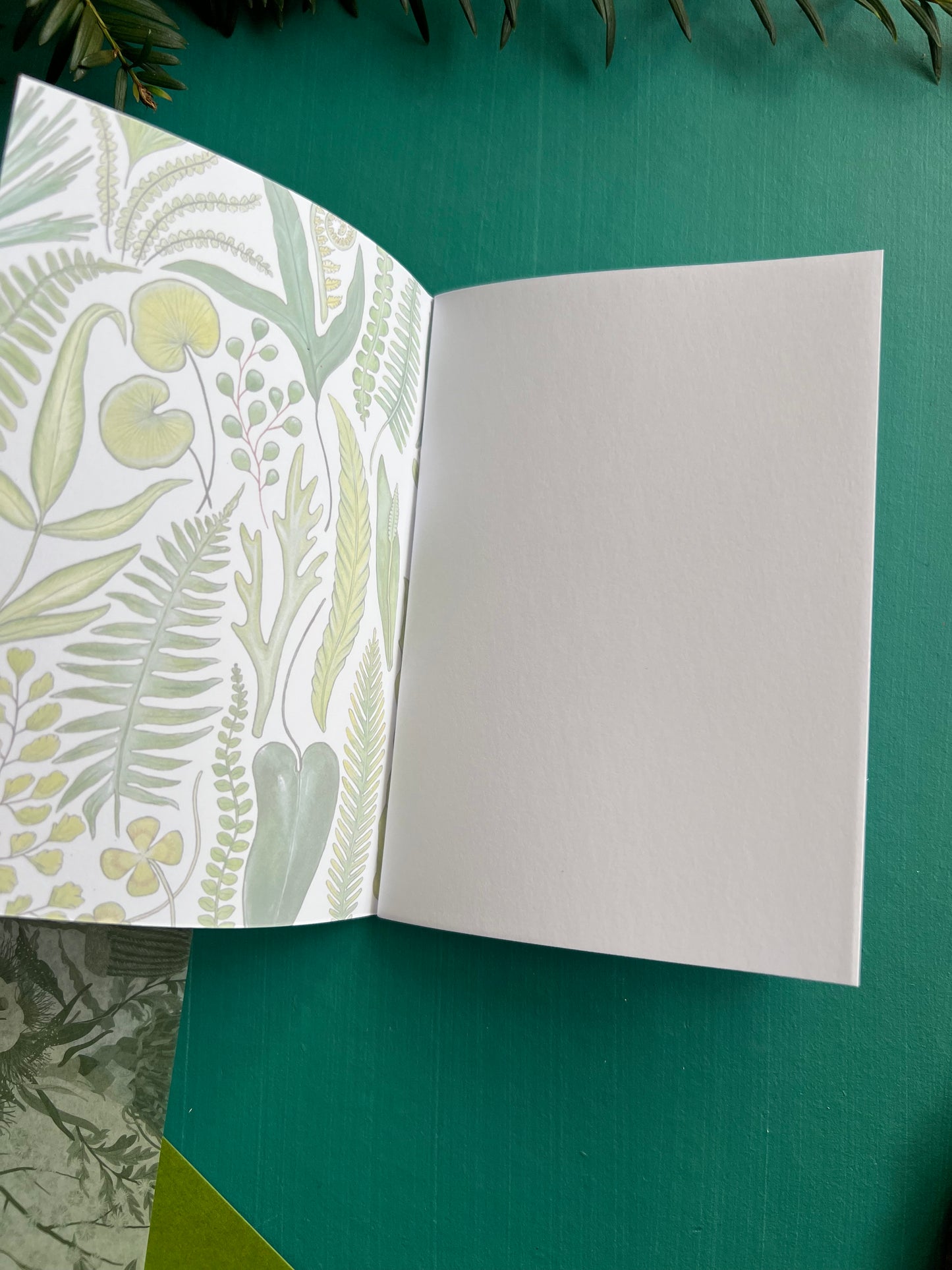 Ferns Pocket Notebook