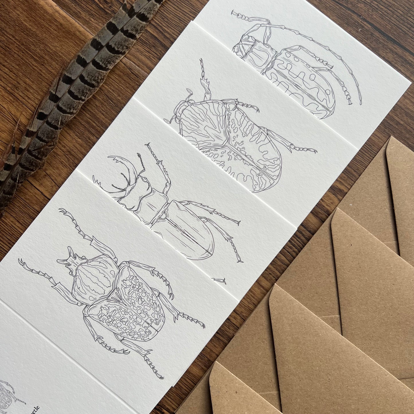 Beetle Colouring in Card Set