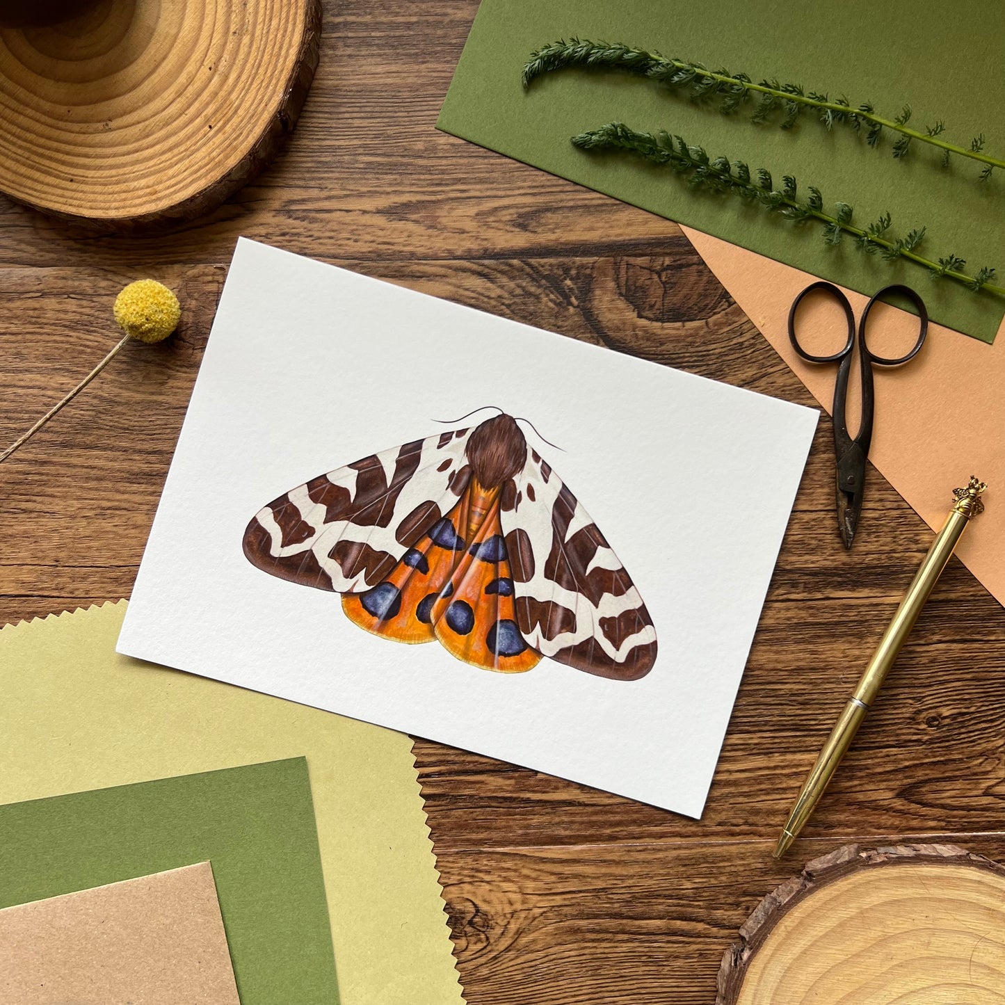 Garden Tiger Moth Print