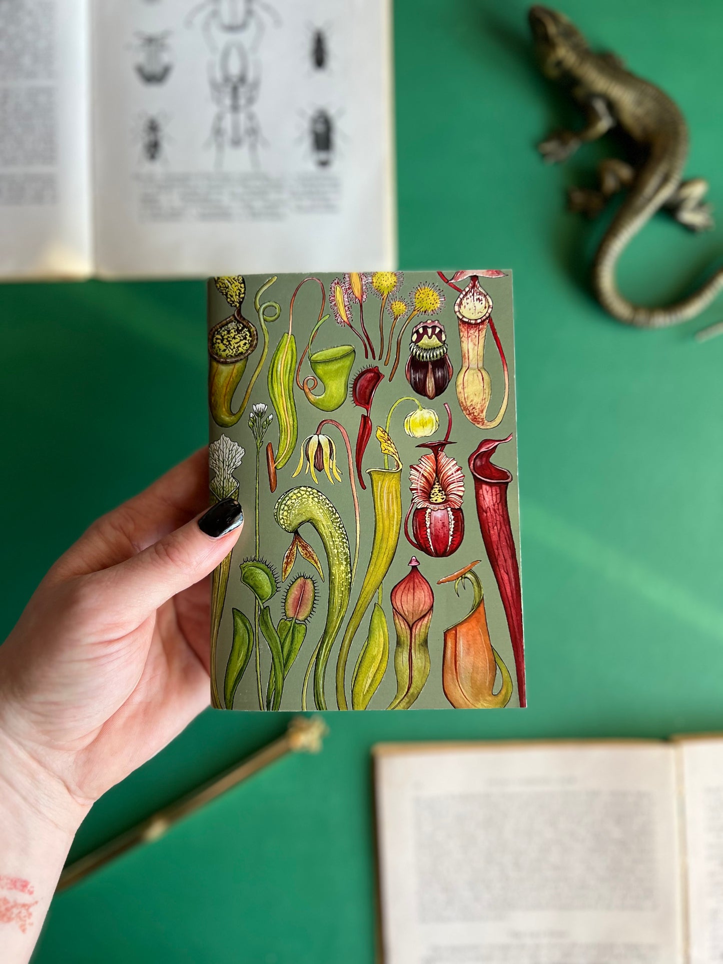 Carnivorous Plants Pocket Notebook