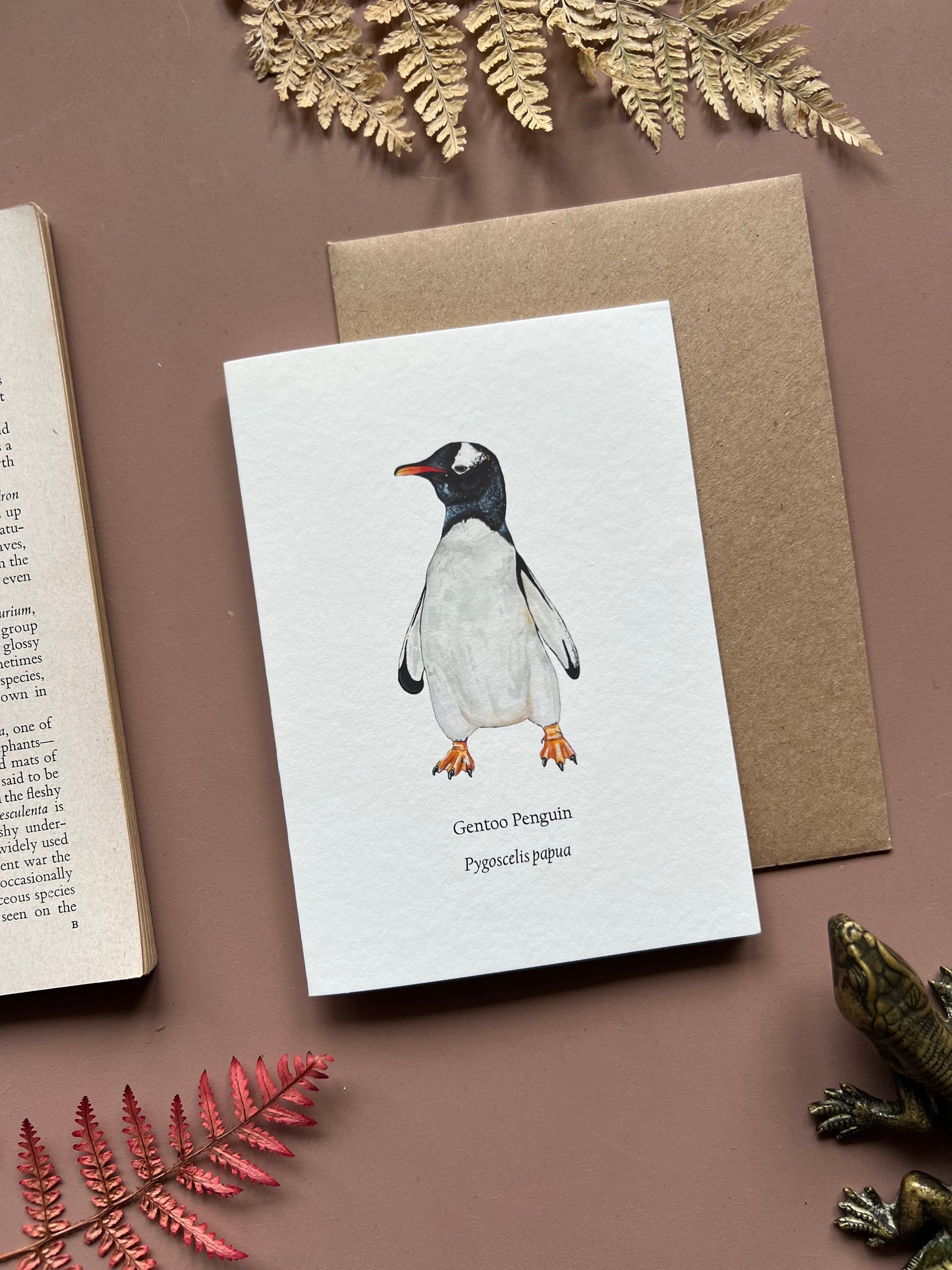 Gentoo Penguin Card