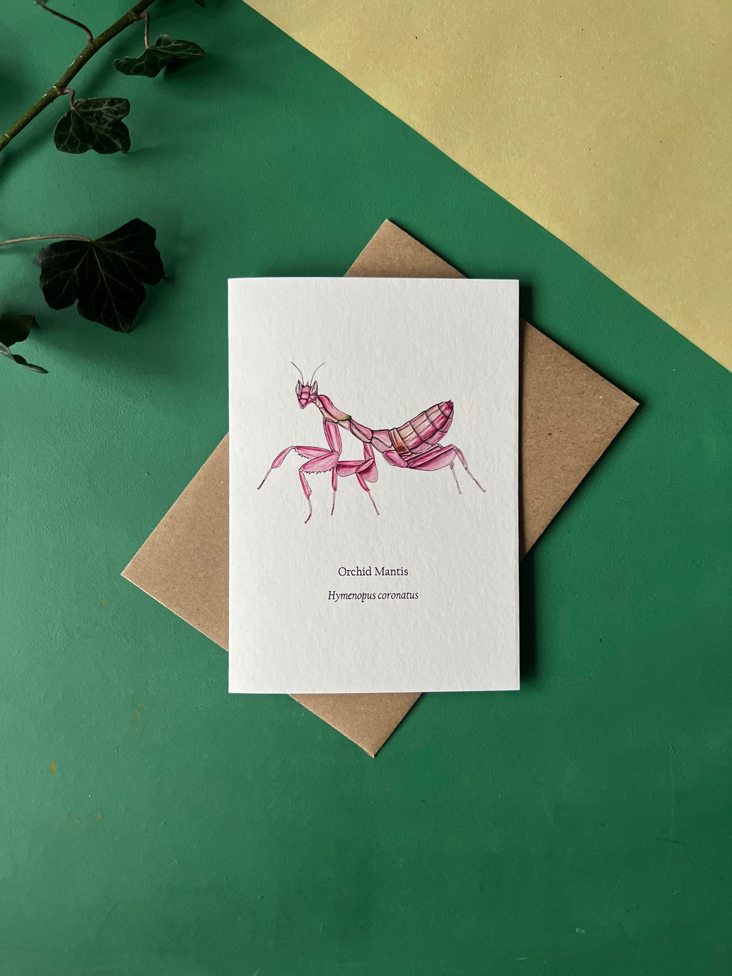 Orchid Mantis Card