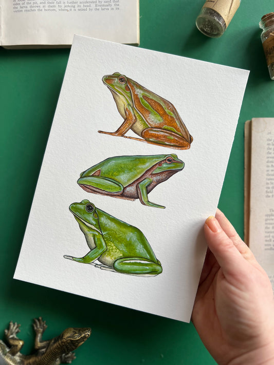 Tree Frogs Print