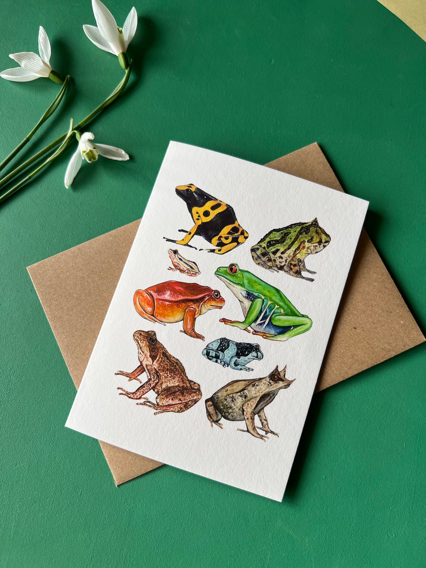Frogs Card