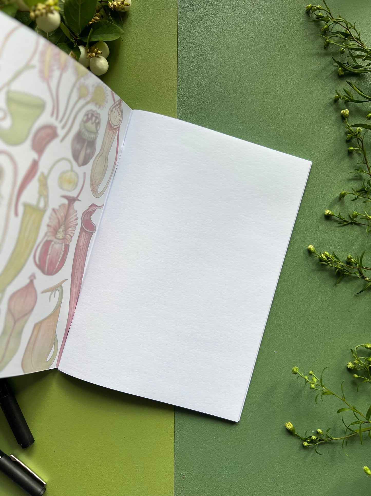 Carnivorous Plants Notebook