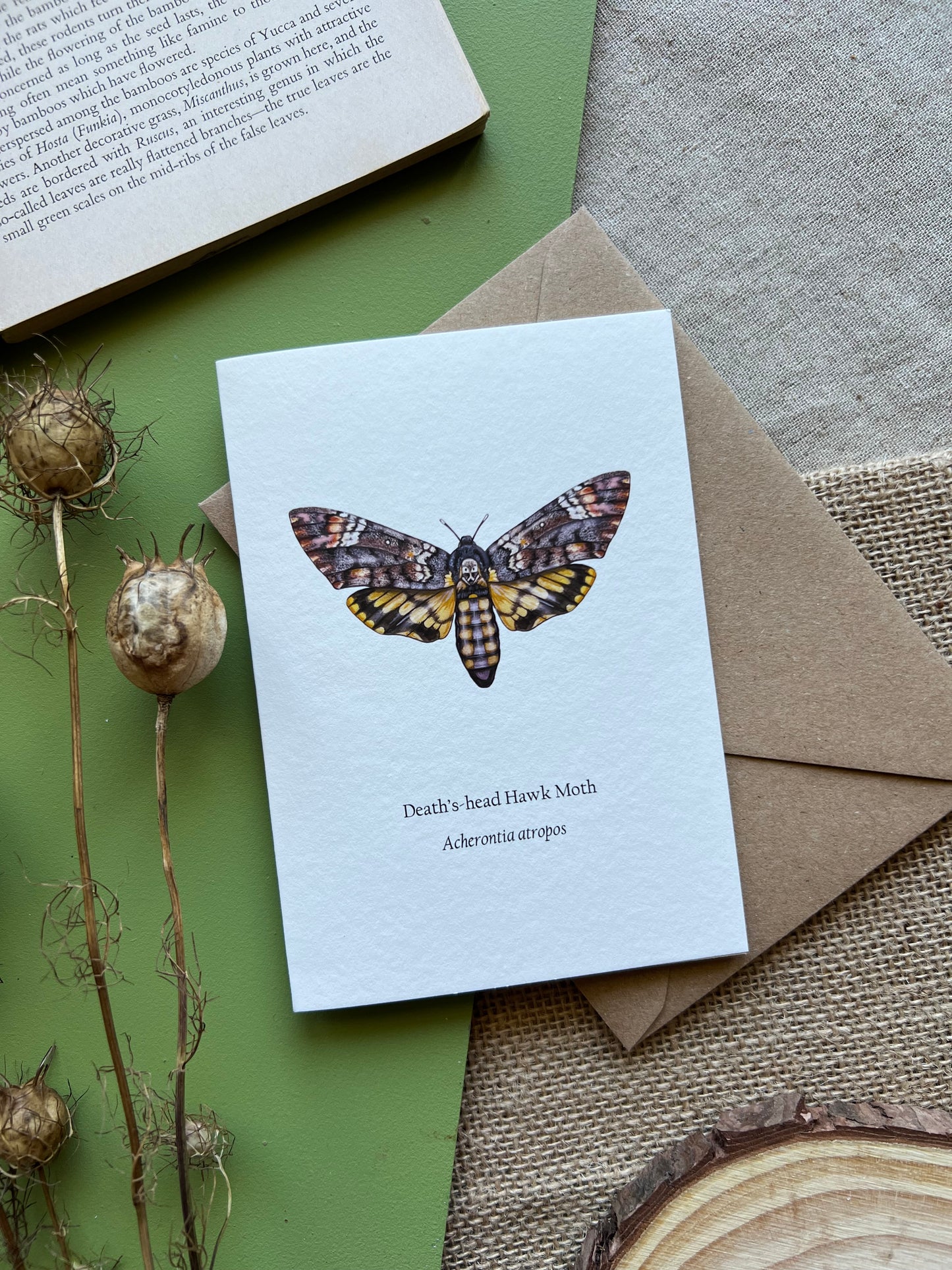 Deaths-head Hawk Moth Card