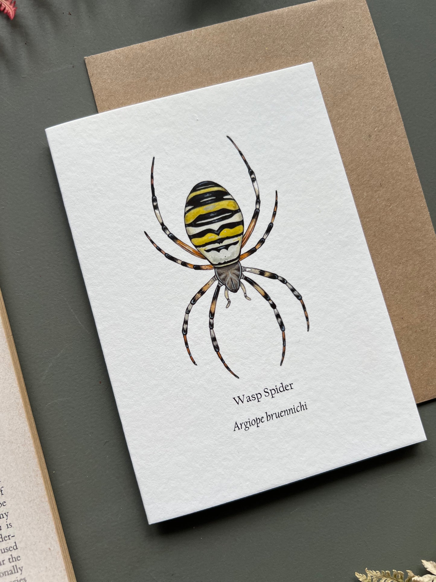 Wasp Spider Card