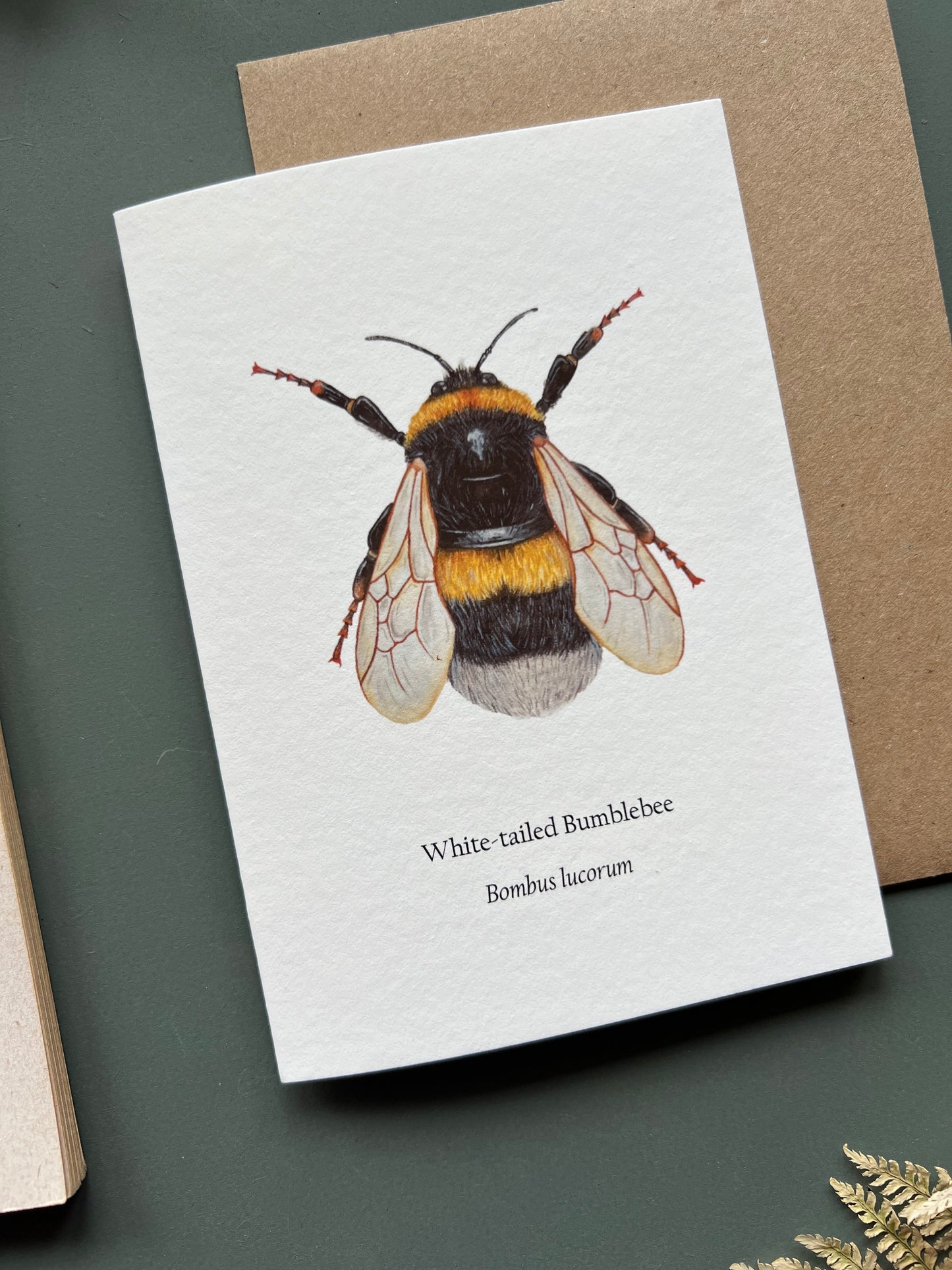 White tailed Bumblebee Card