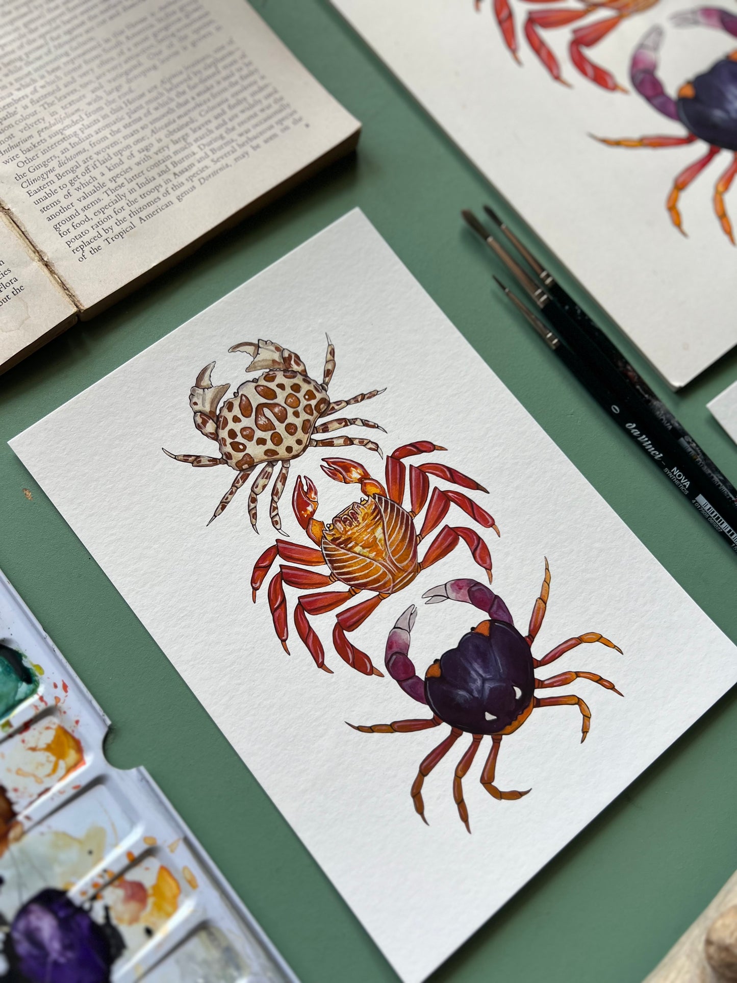 Crabs Print, Marine life