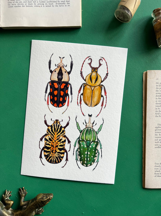 Fruit Beetles Print