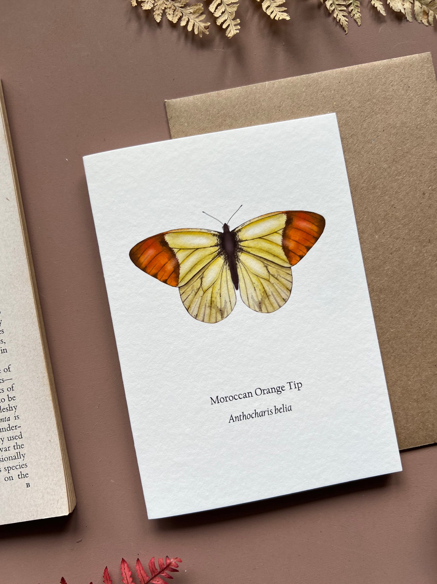 Moroccan Orange Tip Card