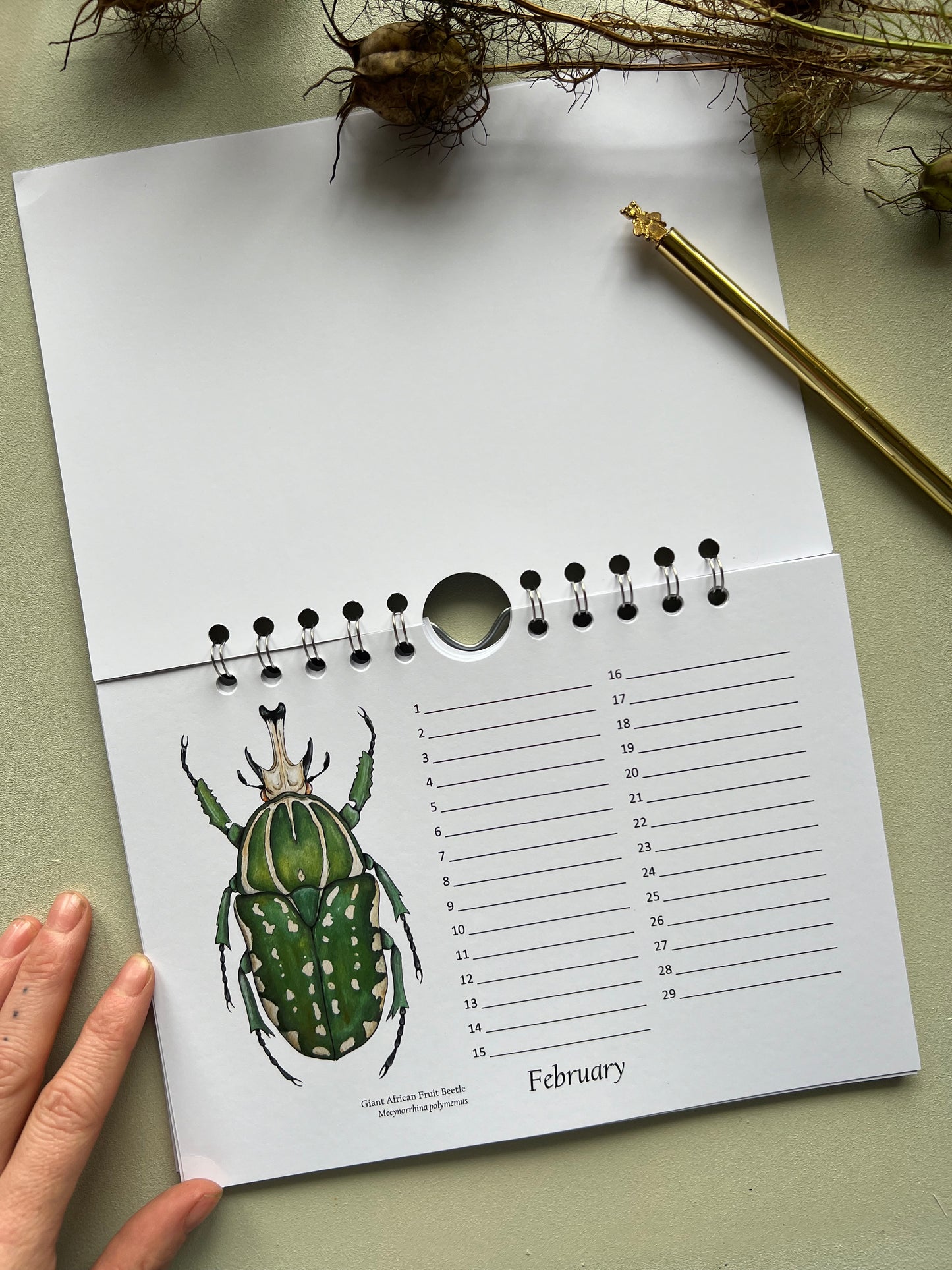 Beetle Birthday and Other Important Dates Calendar, Perpetual Calendar