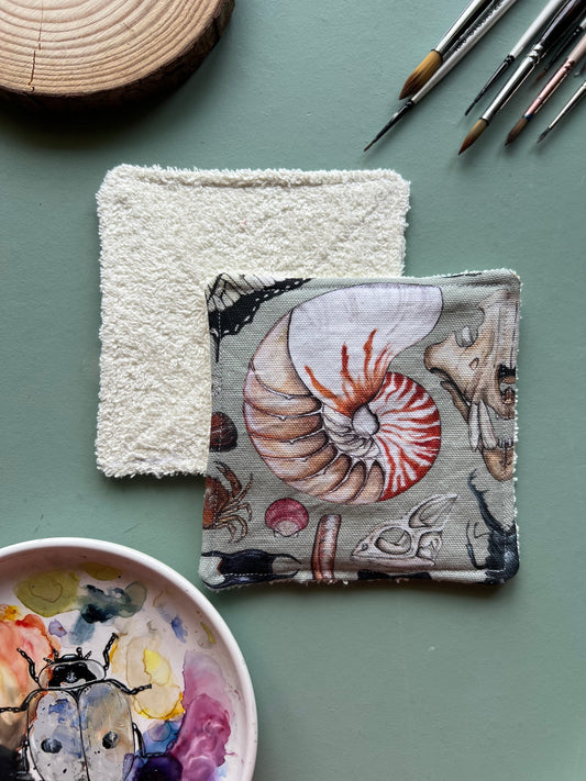 Natural Curiosities Brush Towel