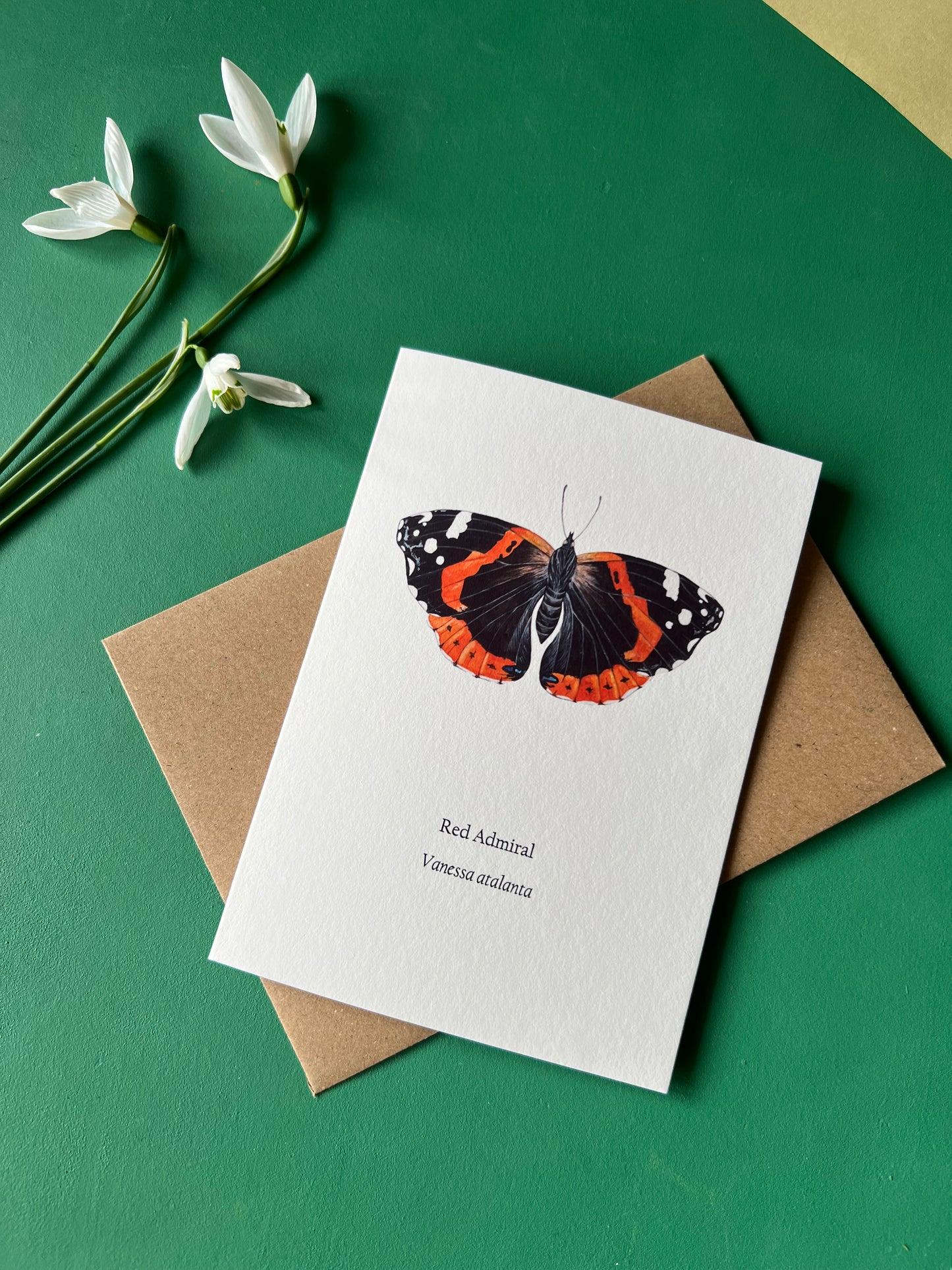 Red Admiral Card
