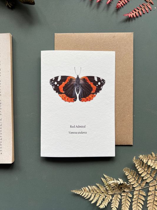 Red Admiral Card