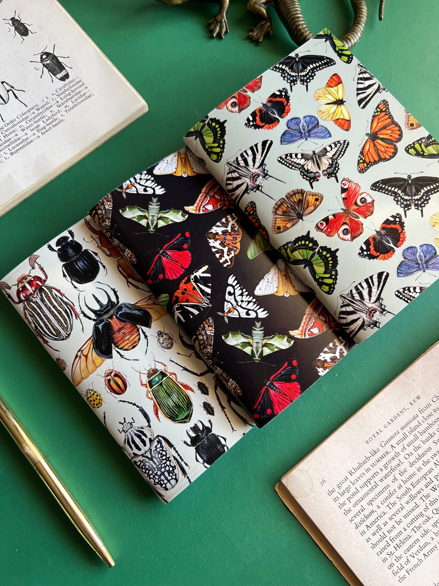 Insect Pocket Notebook Set