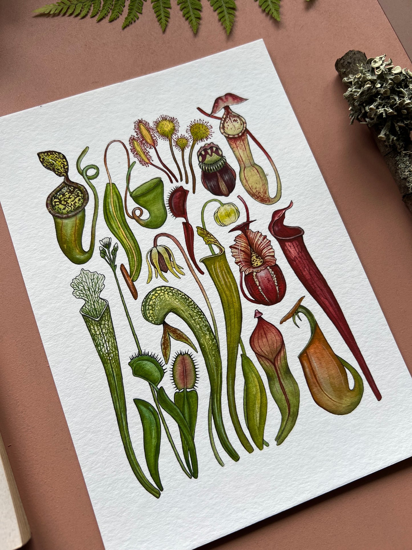 Carnivorous Plants Print