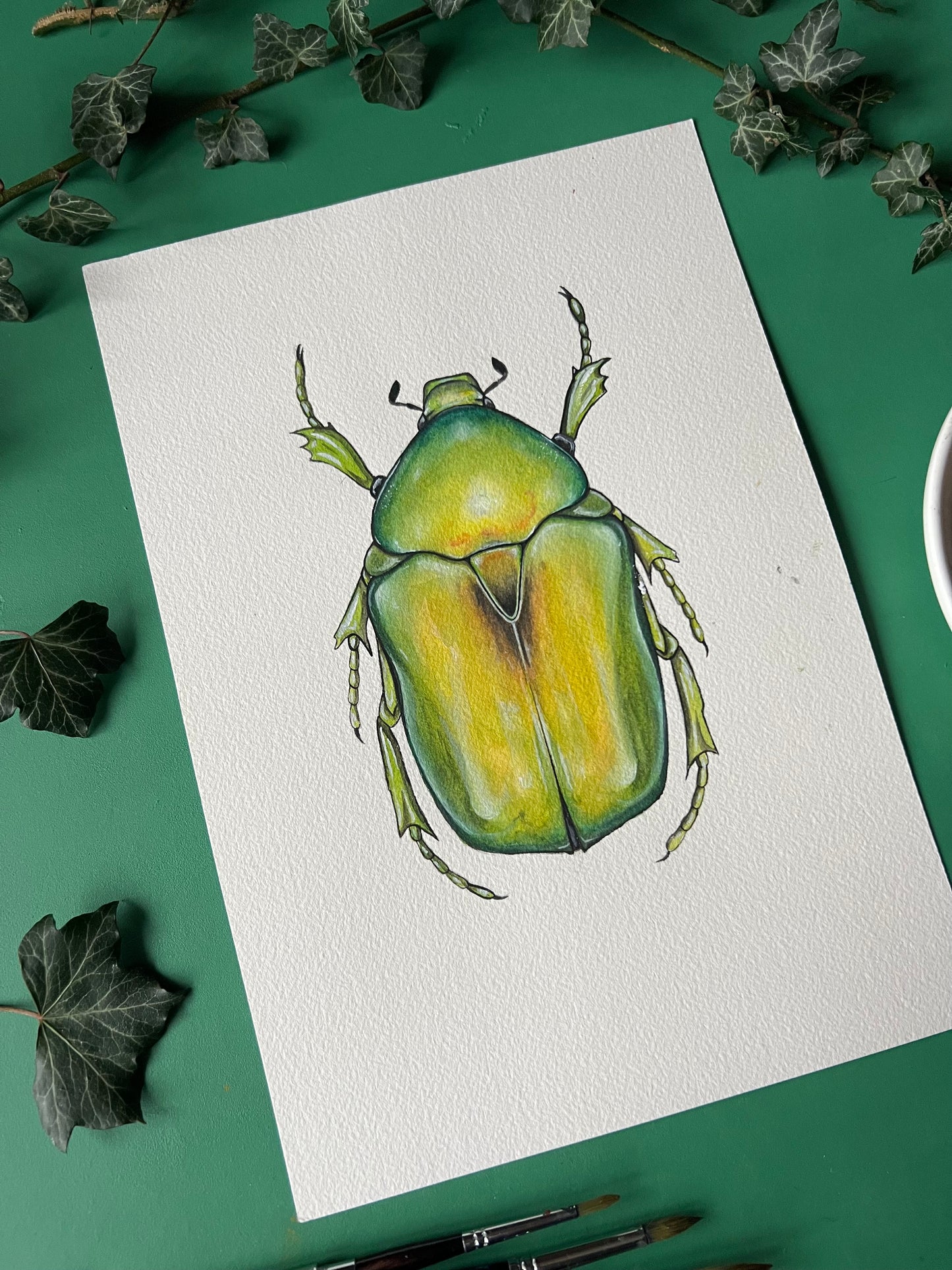 Jewel Flower Chafer