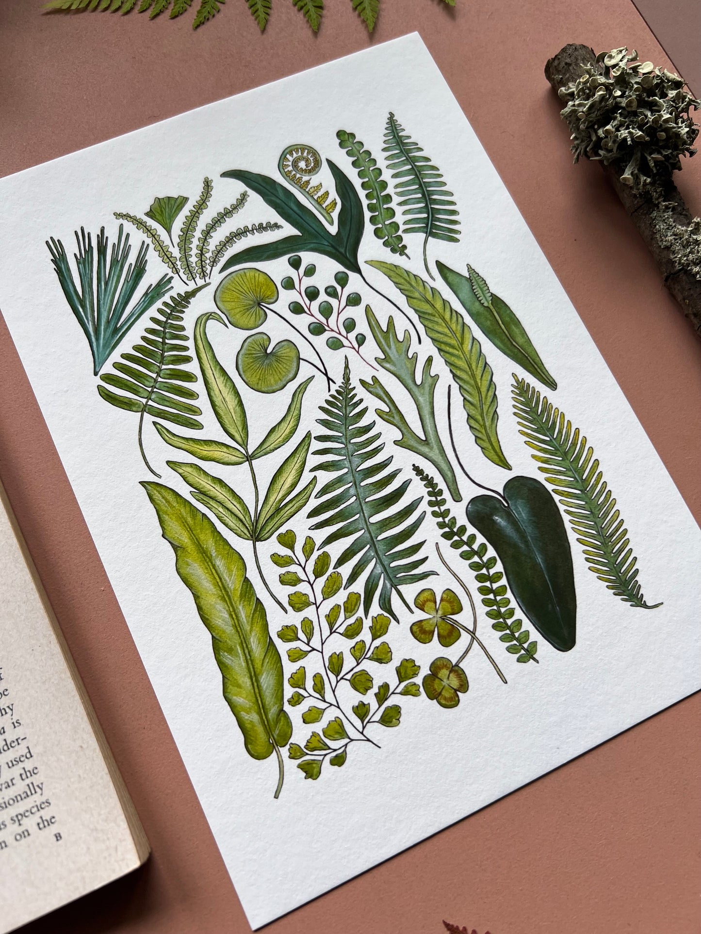 Fern Print