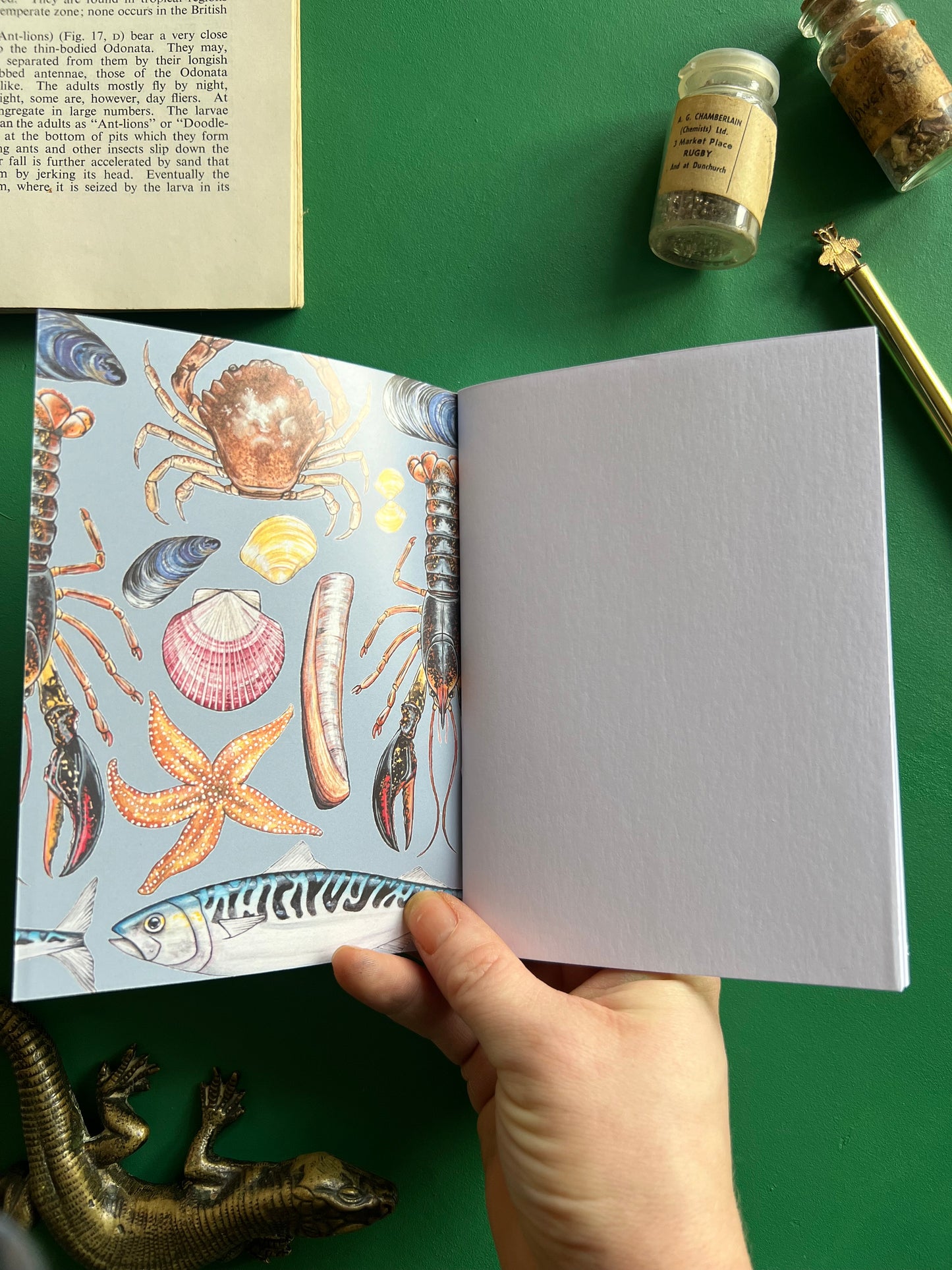 Marine Life Pocket Notebook
