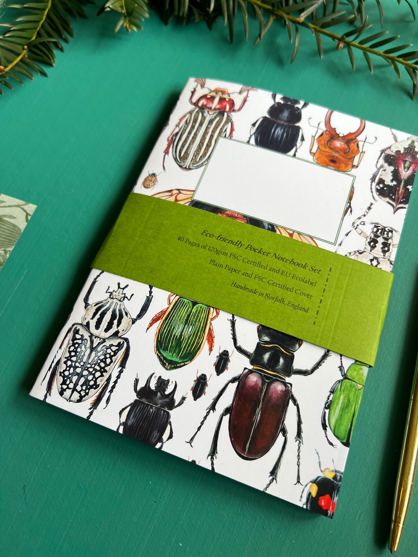 Beetle Notebook