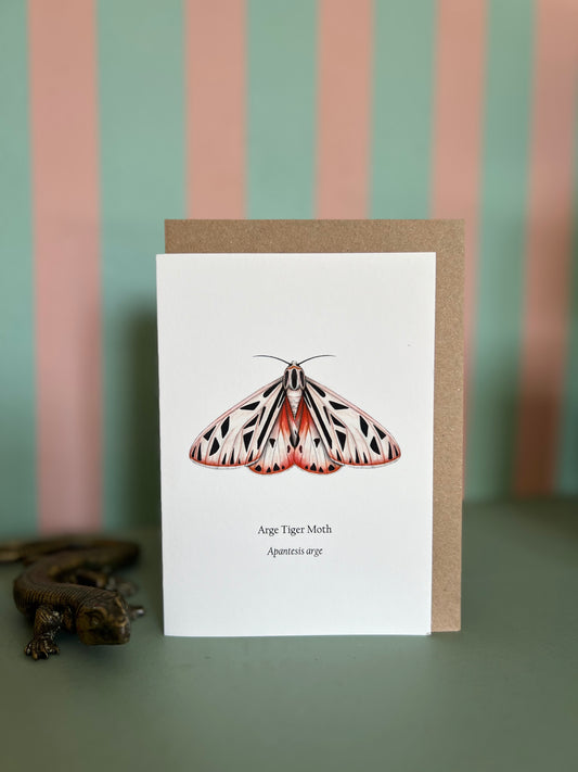 Arge Tiger Moth Card