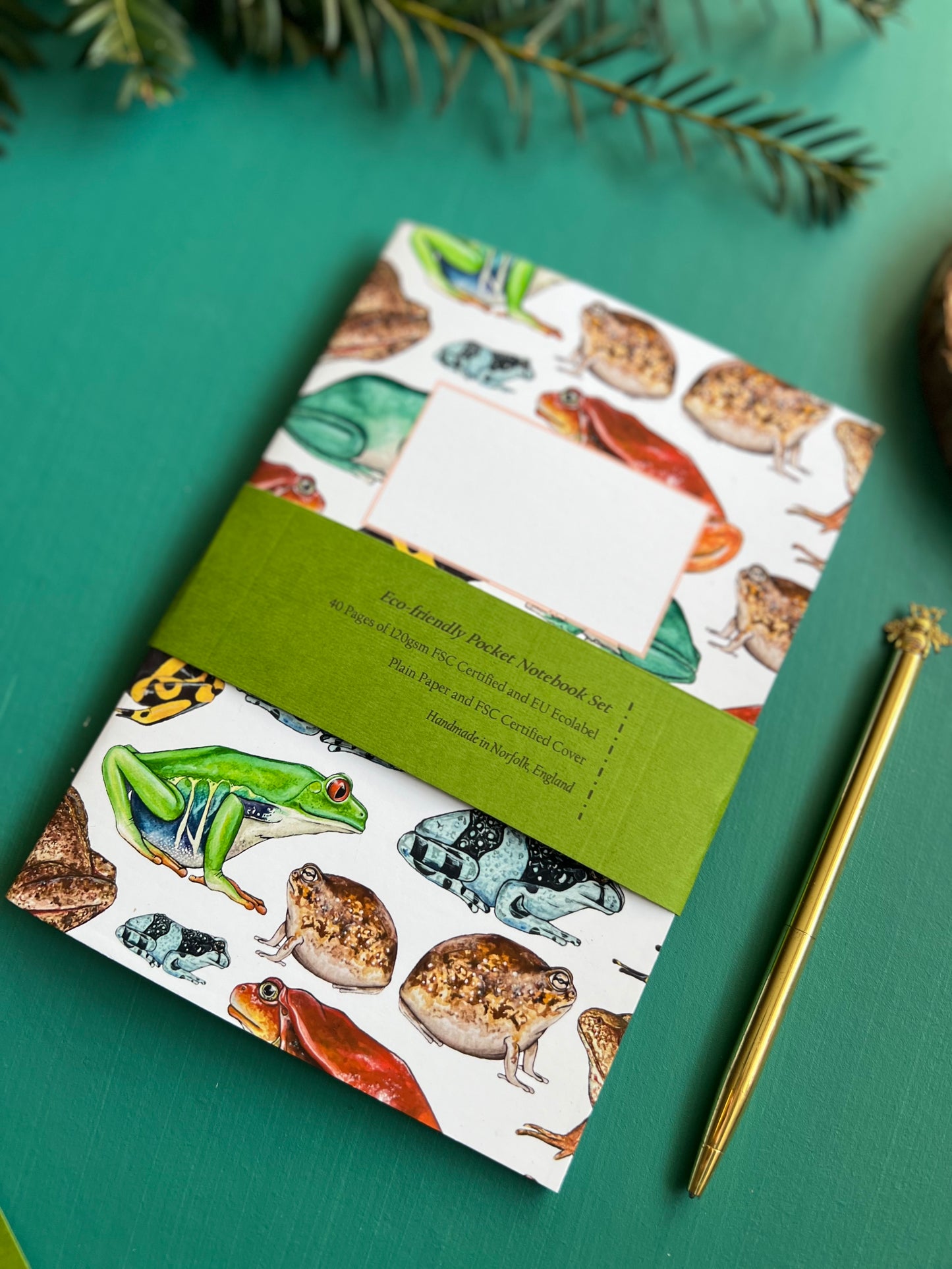 Frog Notebook